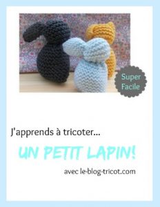 titre-bonus-lapin